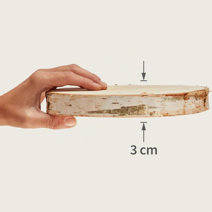 Grosse Holzscheiben zum Basteln oder Dekorieren - 3 Stück naturbelassene Baumscheiben ca. 20 cm (18