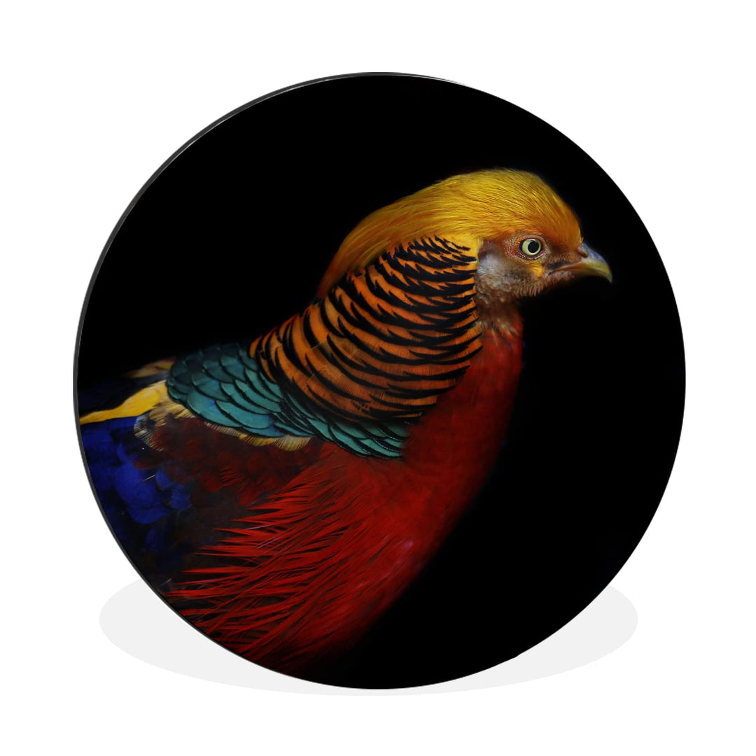 MuchoWow Wandbild Rund Wanddeko Deko Wohnzimmer Bilder 30x30 cm Vogel - Federn - Schwarz - Porträt,