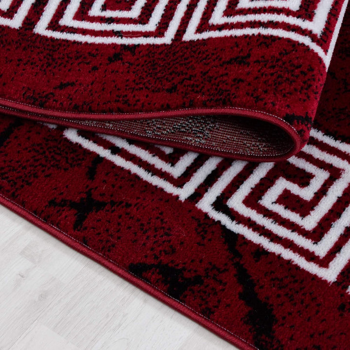 Carpetsale24 Teppich Wohnzimmer Marmor Optik mit Mäander Bordüre Muster Rot Meliert 240 x 340 cm - K