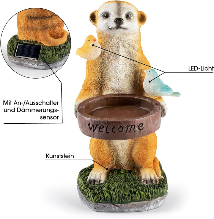 EASYmaxx Solar-LED Erdmännchen als Vogeltränke | Kabellos mit automatischem Tageslichtsensor | Detai