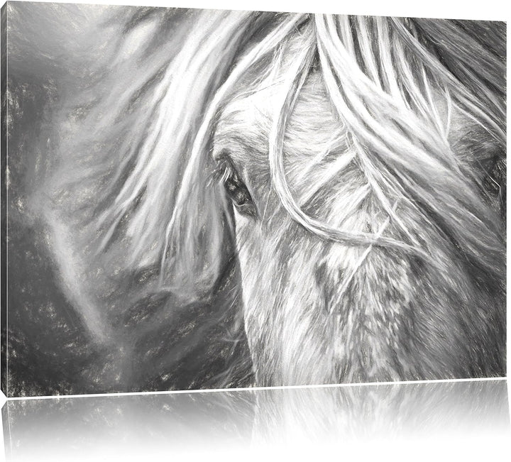 Pixxprint Islandpony in den Westfjorden als Leinwandbild/Grösse: 100x70 / Wandbild/Kunstdruck/fertig