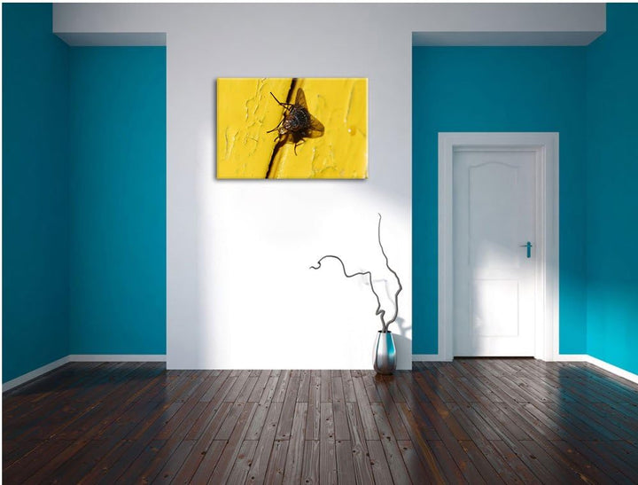 Pixxprint kleine Fliege mit Tautropfen auf Leinwand, XXL riesige Bilder fertig gerahmt mit Keilrahme