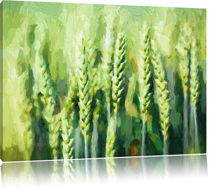 Pixxprint Grüne Weizen auf dem Feld Kunst als Leinwandbild/Grösse: 100x70 cm/Wandbild/Kunstdruck/fer