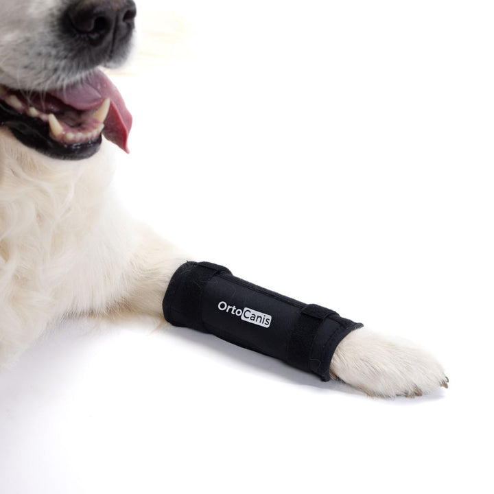 Ortocanis - Karpalbandage für Hunde mit Arthrose, Bandverletzungen, instabilem Karpalgelenk, Grösse