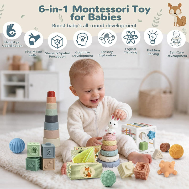 Anook Montessori Spielzeug Baby ab 6 Monate, Baby Spielzeug 6 8 9 10 Monate | Babyspielzeug ab 6 Mon