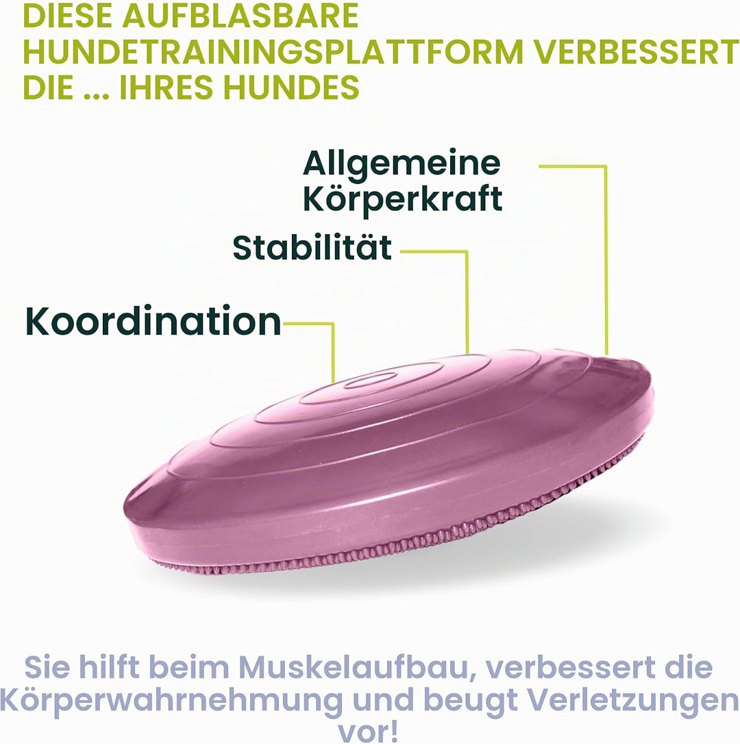 Fitpaws Balance-Disc für Hunde, 14", Violett