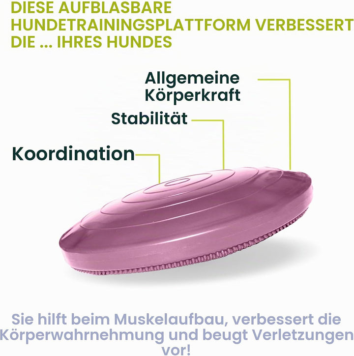 Fitpaws Balance-Disc für Hunde, 14", Violett