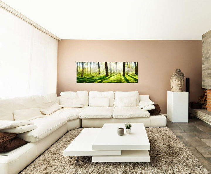 Paul Sinus Art Panoramabild auf Leinwand und Keilrahmen 150x50cm Wald Bäume Frühling Sonnenstrahlen