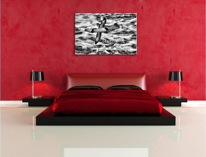 Pixxprint prächtige Möwe fliegt über Wasser als Leinwandbild/Grösse: 100x70 / Wandbild/Kunstdruck/fe