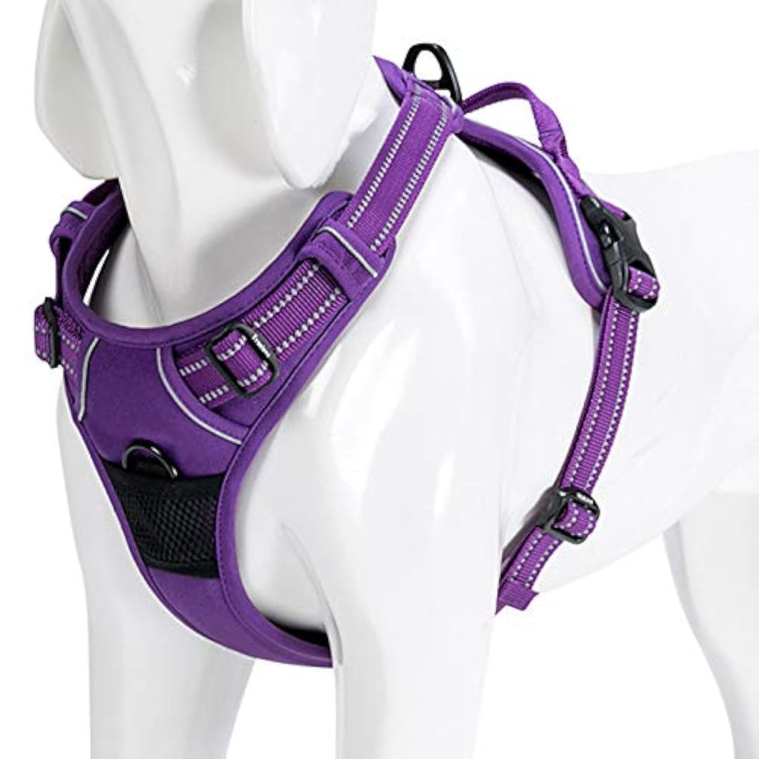 WINHYEPET Truelove Hundegeschirr No-Pull Reflektierendes verstellbar Haustiergeschirr mit 2 Leinencl