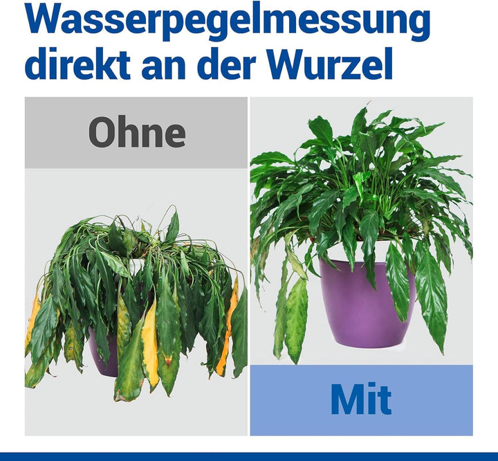 Maximex LED Feuchtigkeitsmessgerät für Pflanzen, Feuchtigkeitsmesser und Giessanzeiger für Zimmerpfl