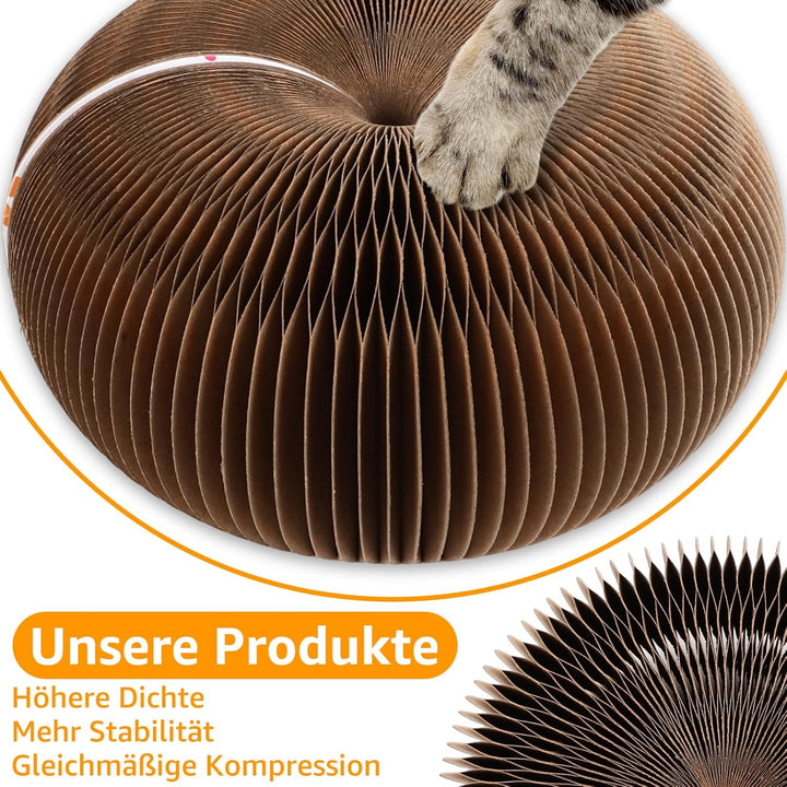 2 Stück Katzenkratzbrett, Magic Organ Cat Scratching Board, 2-in-1 Cat Kratzbrett mit Glöckchen, Int