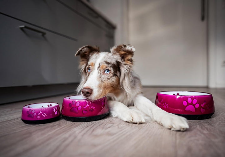 Hundenapf kleine Hunde/Hundenapf grosse Hunde/Futternapf Hund/Trinknapf Hund/S/M/L rutschfest (M 101