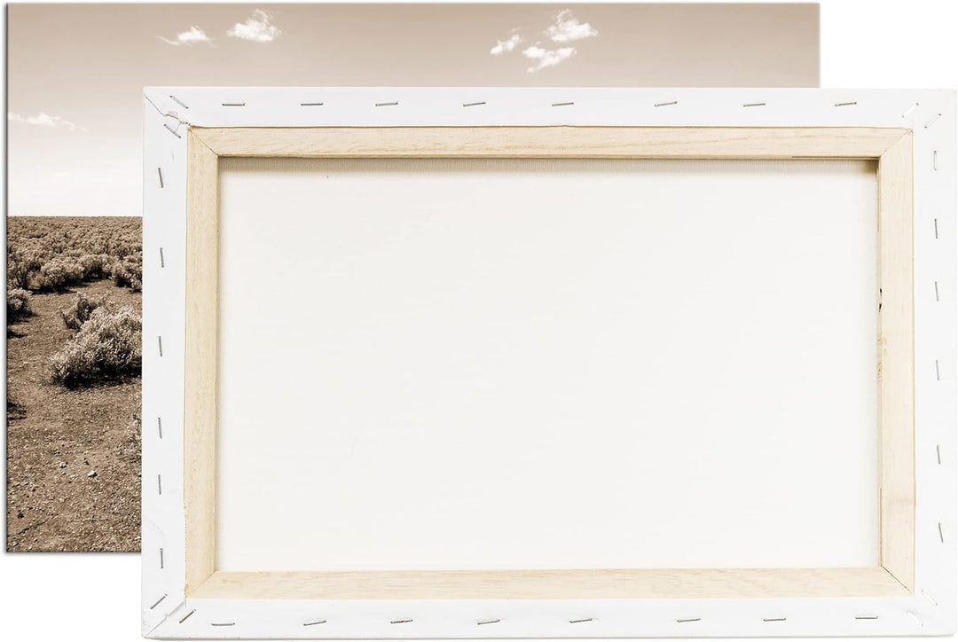 deyoli einsamer Baum in unfruchtbaren Wüste Format: 120x80 Effekt: Sepia als Leinwandbild, Motiv fer