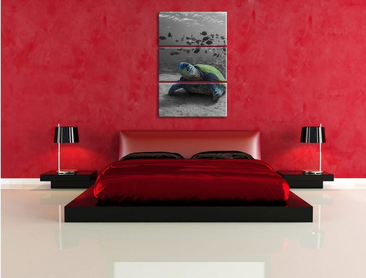 Pixxprint Schildkröte im Ozean schwarz/weiss als Leinwandbild/Grösse: 3 Teilig (120x80 cm) cm/Wandbi