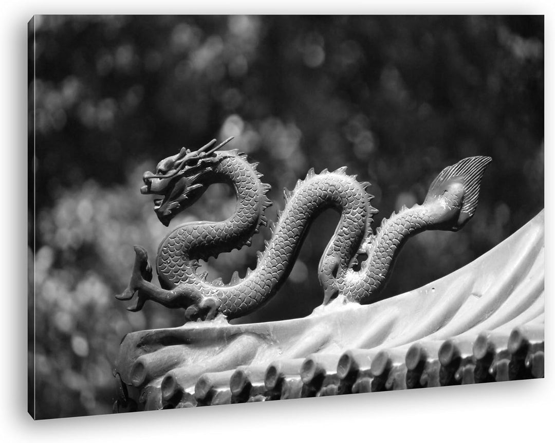 deyoli Drachenfigur Format: 80x60 Effekt: Schwarz/Weiss als Leinwandbild Motiv fertig gerahmt auf Ec