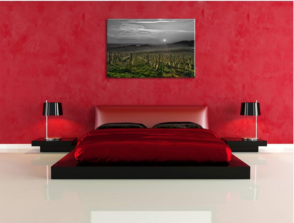 Pixxprint Weinberg in Bergerac Frankreich als Leinwandbild/Grösse: 100x70 cm/Wandbild/Kunstdruck/fer