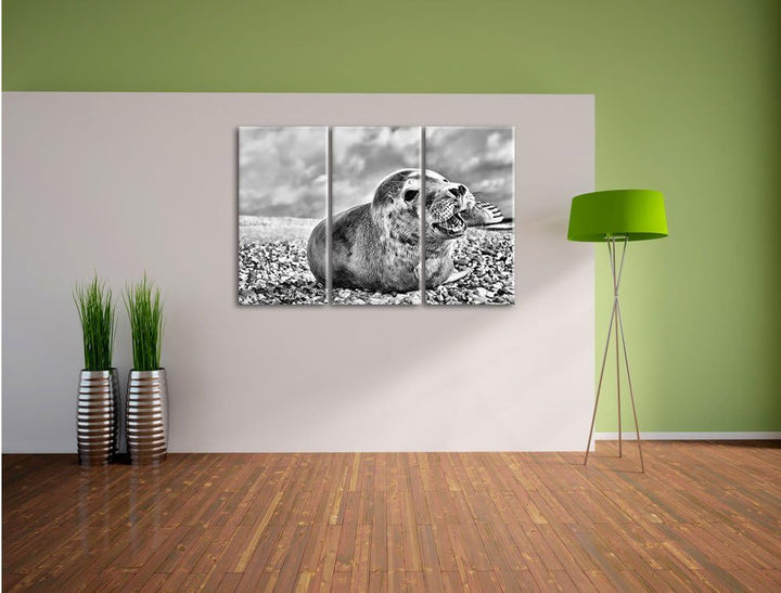 Pixxprint Monocrome, Süsse Robbe auf Steinstrand 3-Teiler Leinwandbild 120x80 Bild auf Leinwand