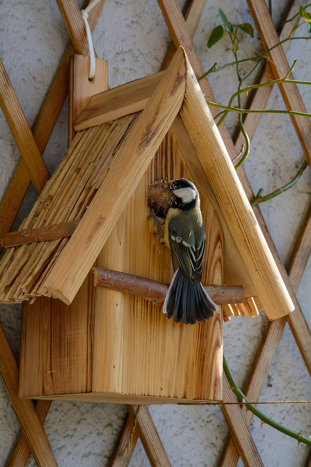 dobar® 13070e Nistkasten Hexenhaus Ø 32 mm - Nisthöhle für Wildvögel - Nistkasten Massivholz - Nisth