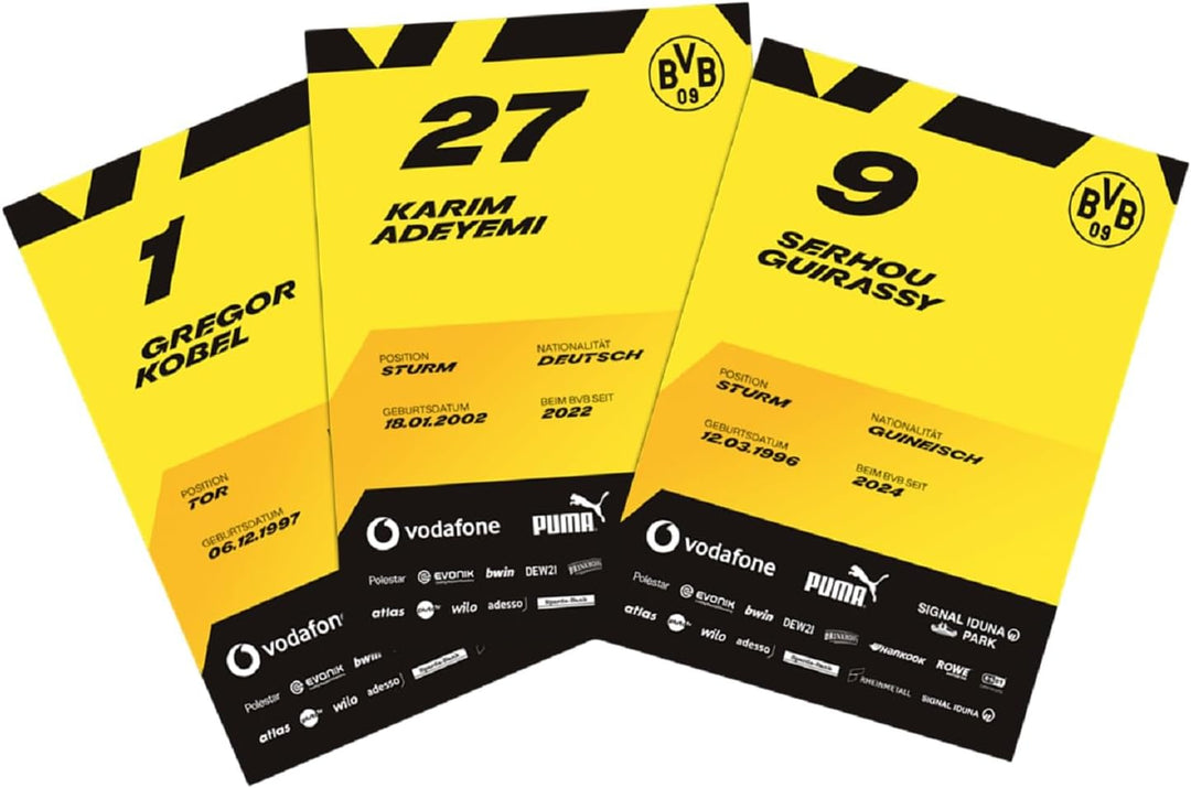 Borussia Dortmund BVB 09 BVB Autogrammkartenset -