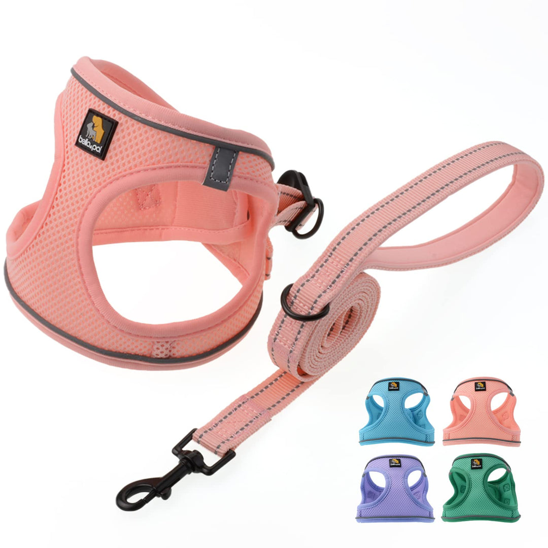 BELLA &amp; PAL Hundegeschirr Kleine Hunde mit Leine, Step-in Geschirr aus Air Mesh, Anti Zug Reflektier