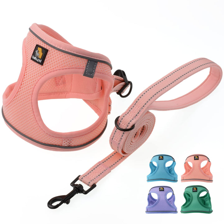BELLA &amp; PAL Hundegeschirr Kleine Hunde mit Leine, Step-in Geschirr aus Air Mesh, Anti Zug Reflektier