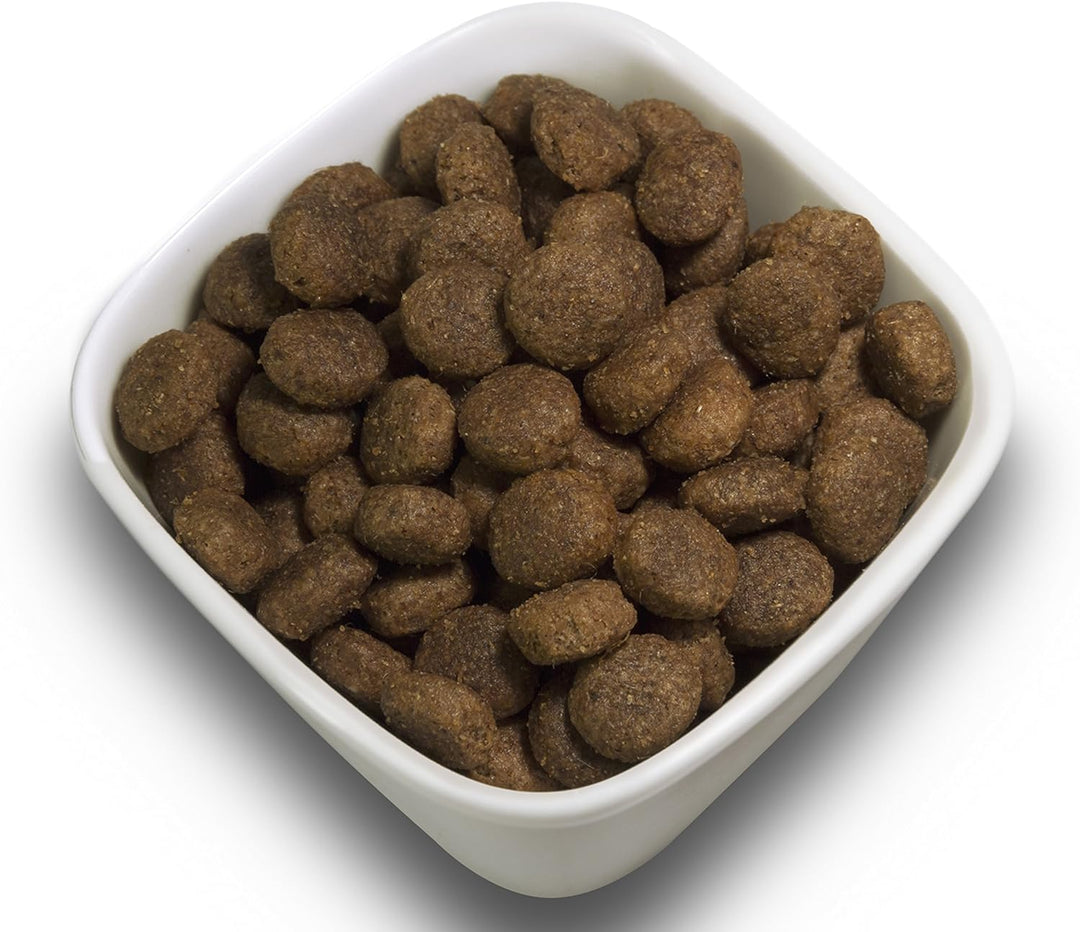 SALiNGO High Sensitive Hundefutter trocken, Trockenfutter Lamm und Reis, zuckerfrei, Single Protein,