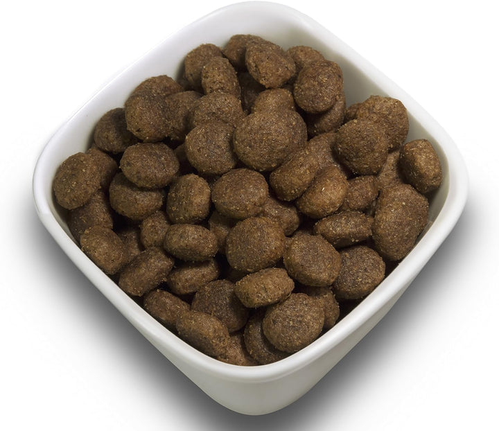 SALiNGO High Sensitive Hundefutter trocken, Trockenfutter Lamm und Reis, zuckerfrei, Single Protein,