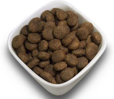 SALiNGO High Sensitive Hundefutter trocken, Trockenfutter Lamm und Reis, zuckerfrei, Single Protein,