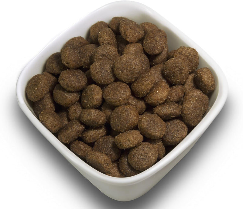 SALiNGO High Sensitive Hundefutter trocken, Trockenfutter Lamm und Reis, zuckerfrei, Single Protein,