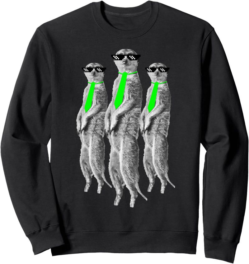 Erdmännchen Crew. Coole Agenten Clique Surikate Meerkat Fun Sweatshirt