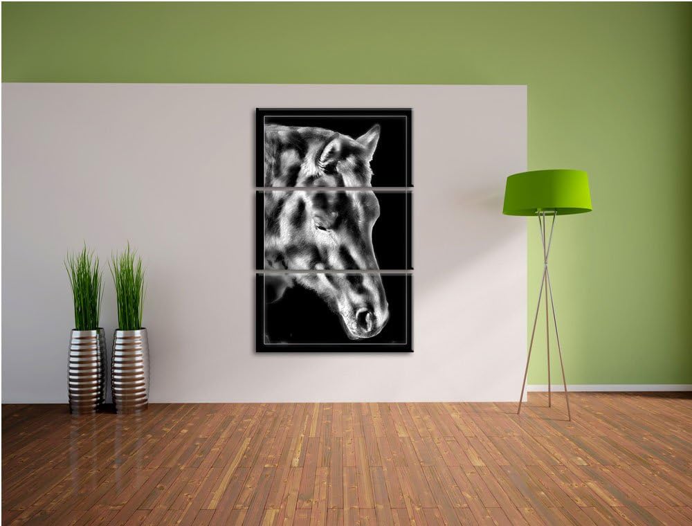 Pixxprint majestätisches Pferd als Leinwandbild/Grösse: 3 Teilig (120x80) cm/Wandbild/Kunstdruck/fer