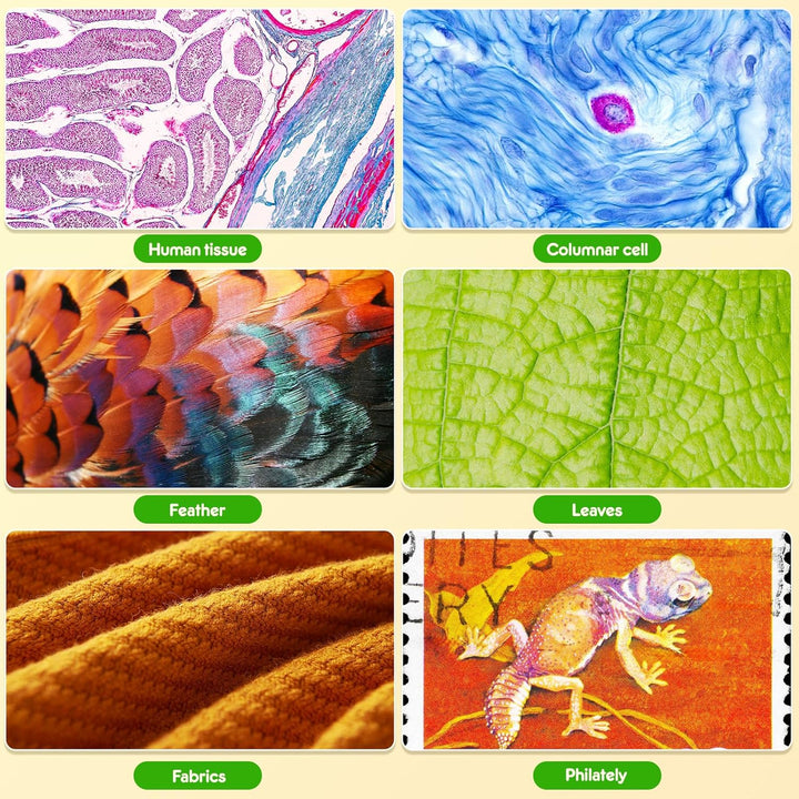 USCAMEL Taschenmikroskop für Kinder und Erwachsene - 60x-135x Mini-Mikroskop, Tragbares Handmikrosko