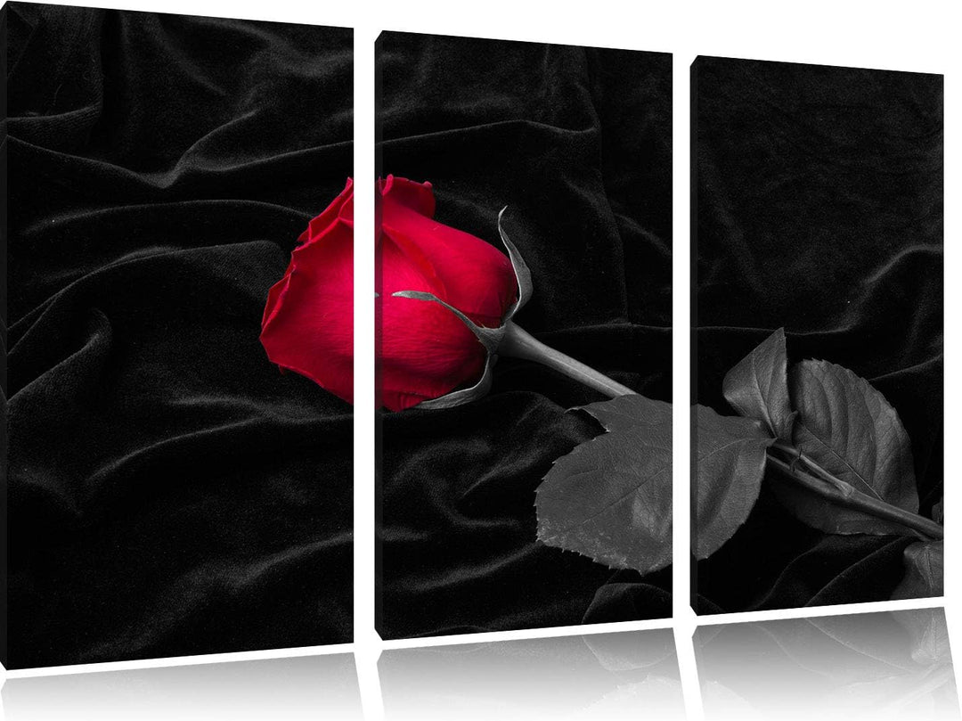 rote Rose gebettet auf schwarzem Samt schwarz/weiss 3-Teiler Leinwandbild 120x80 Bild auf Leinwand,