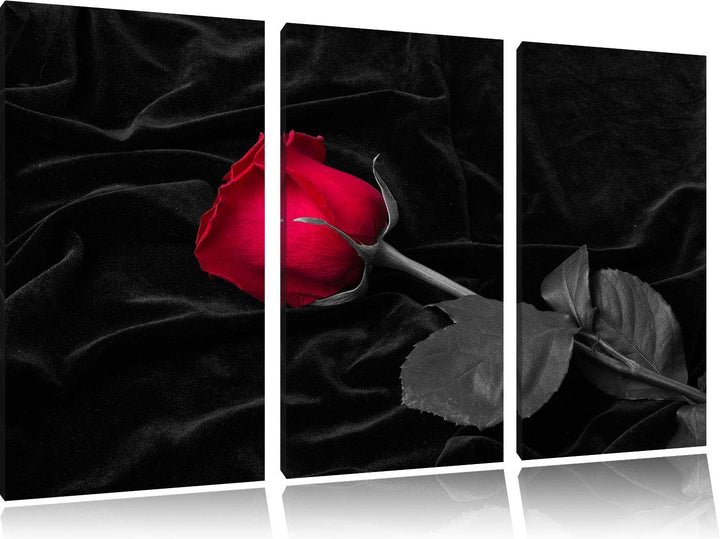 rote Rose gebettet auf schwarzem Samt schwarz/weiss 3-Teiler Leinwandbild 120x80 Bild auf Leinwand,