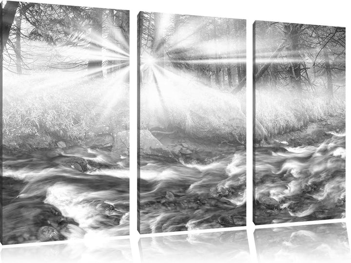 Pixxprint Nebeldickicht im Wald / 3-Teilig/Gesamtmass 120cm Leinwandbild bespannt auf Holzrahmen/Wan