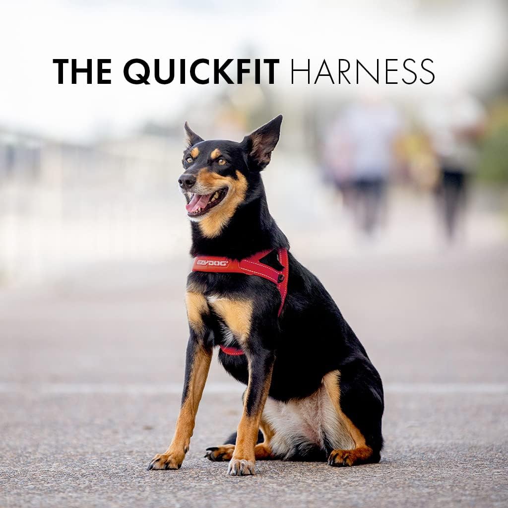 EzyDog 5708214206069 Quick Fit Geschirr Blaze, L, orange Orange L, Orange L