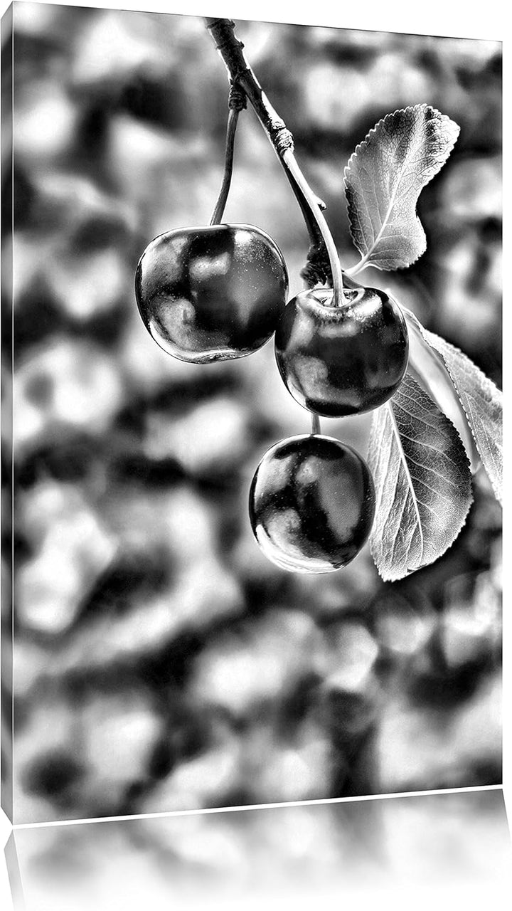 Monocrome, Kirsche, Format: 100x70 auf Leinwand, XXL riesige Bilder fertig gerahmt mit Keilrahmen, K