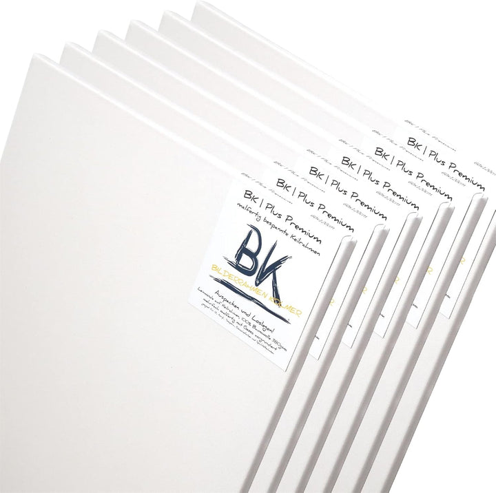 BK BILDERRAHMEN KOLMER 6 B.K. Basic LEINWÄNDE AUF KEILRAHMEN 80x100 cm | Premium Malgrund, malfertig