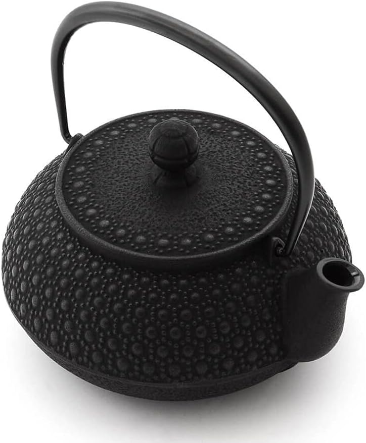 Iwachu Teekanne Gusseisen. Japanische Kyusu Kikko Original, Schwarz 650ml, 0,65 Liter Sieb-Einsatz E