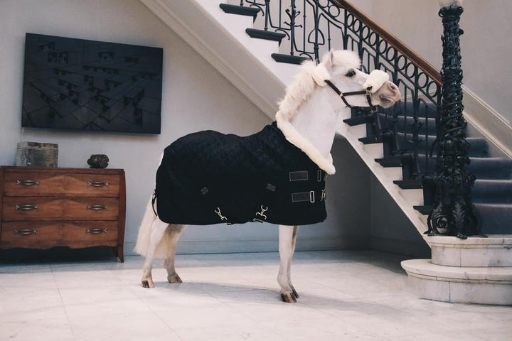 Kentucky Horsewear Tiny Show Rug Turnierdecke Pony mit künstlichem Kaninchenfell 160g, Grösse:80, Fa