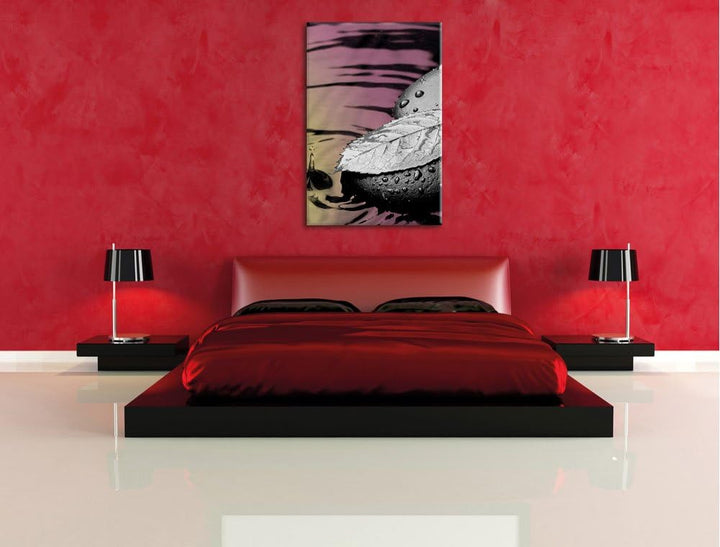 Pixxprint Blatt auf Zen Steinen im Wasser als Leinwandbild/Grösse: 100x70 cm/Wandbild/Kunstdruck/fer