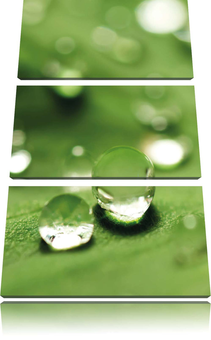 Pixxprint Wassertropfen auf Blatt als Leinwandbild | Grösse: 3 Teilig (120x80) | Wandbild| Kunstdruc