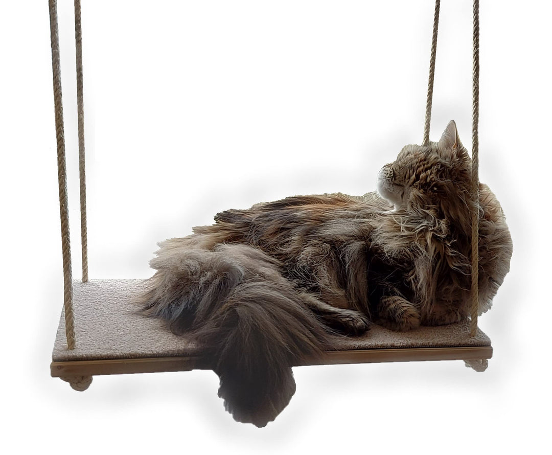 CapriCorner Katzen Fensterliege, kein Herunterfallen Dank Sisalseile, Holz statt Plastik - Neuer Fen