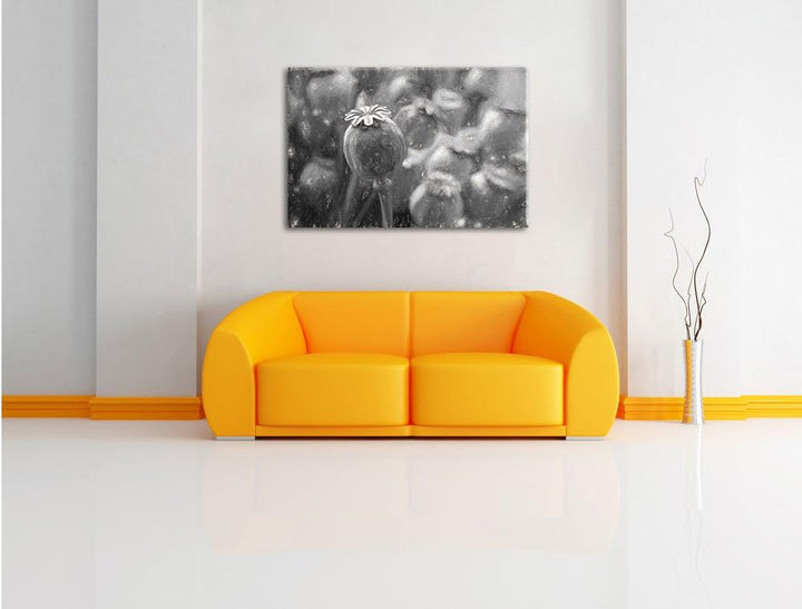 Pixxprint Mohnkapsel der Mohnblume Kunst als Leinwandbild/Grösse: 100x70 cm/Wandbild/Kunstdruck/fert