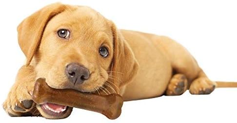 Nylabone Kauspielzeug für Welpen Starter Kit 3 Stück (1er Pack), 3 Stück (1er Pack)