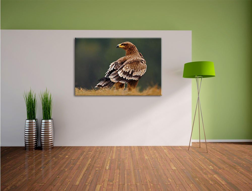 Pixxprint Einsamer Falke mit braunem Gefieder, Format: 100x70 auf Leinwand, 100x70