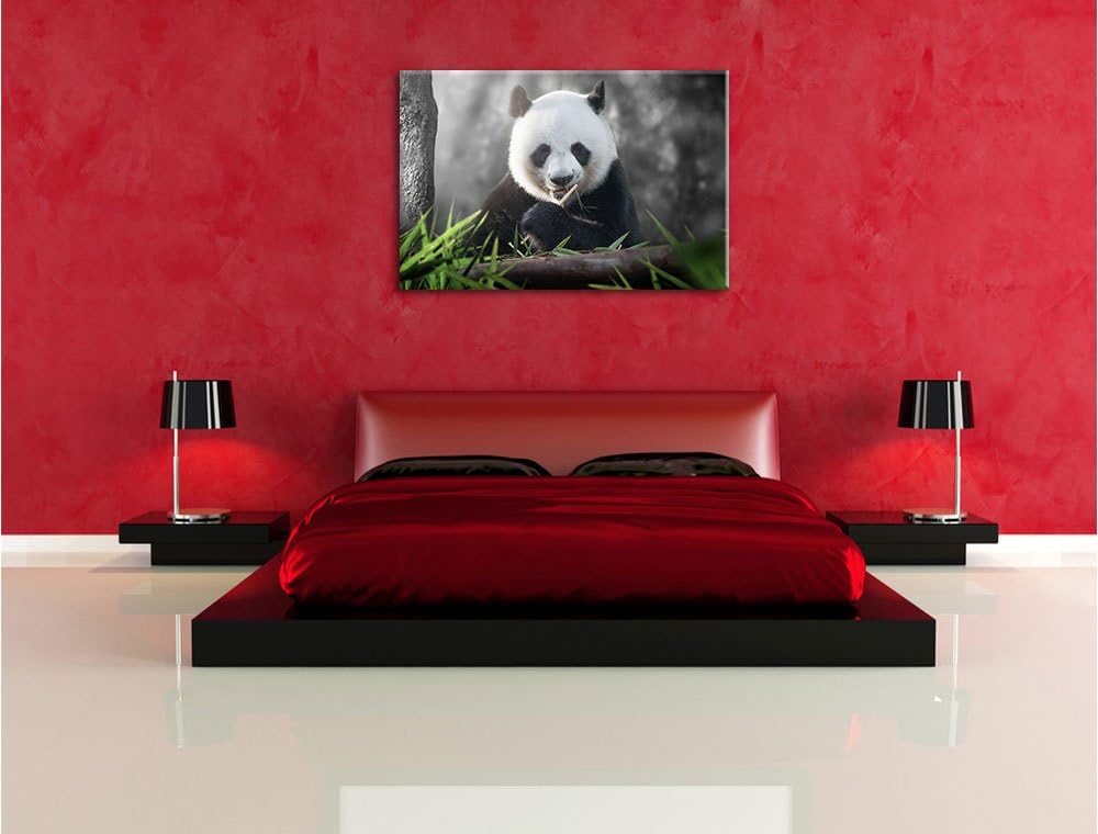 Pixxprint Niedlicher Panda isst Bambus / 100x70cm Leinwandbild bespannt auf Holzrahmen/Wandbild Kuns