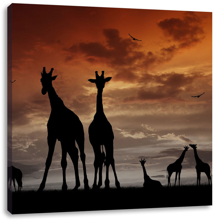 Pixxprint Afrika Giraffen im Sonnenuntergang schwarz/weiss, Format: 70x70 auf Leinwand, 70x70