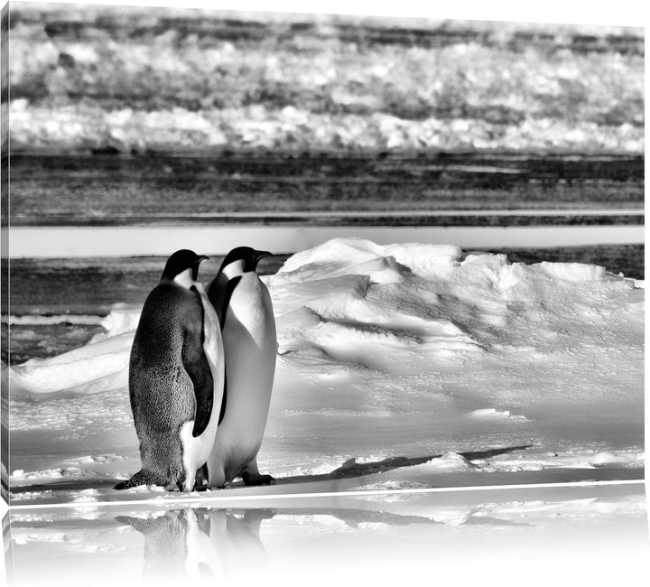 Pixxprint Monocrome, Zwei Kaiserpinguine auf Eisscholle, Format: 100x70 auf Leinwand, 100x70